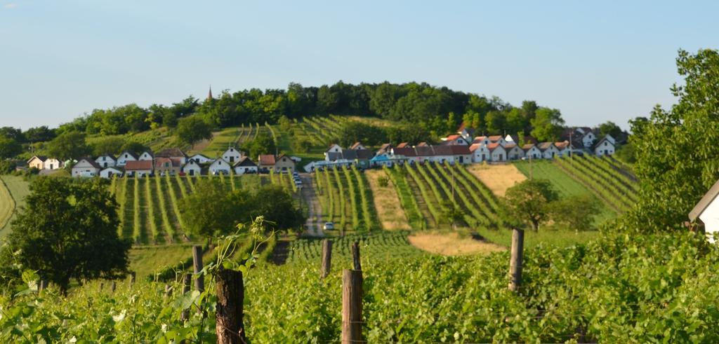 Ferienwohnung Herrmann Pottenhofen Экстерьер фото
